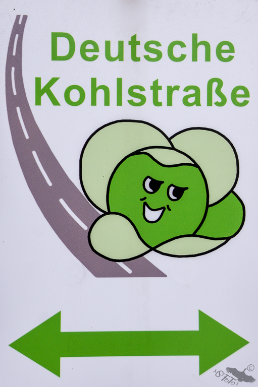 kohlstrasse