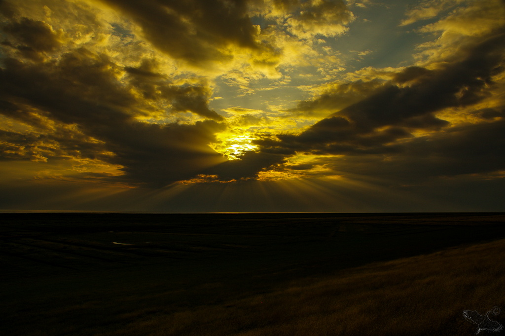 nordseeimpressionen